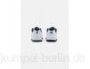 DC Shoes Skate shoes - white/blue/white