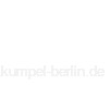 IRIEDAILY Damen T-Shirt Skateowl 2 Tee aus Bio-Baumwolle Styled in Berlin